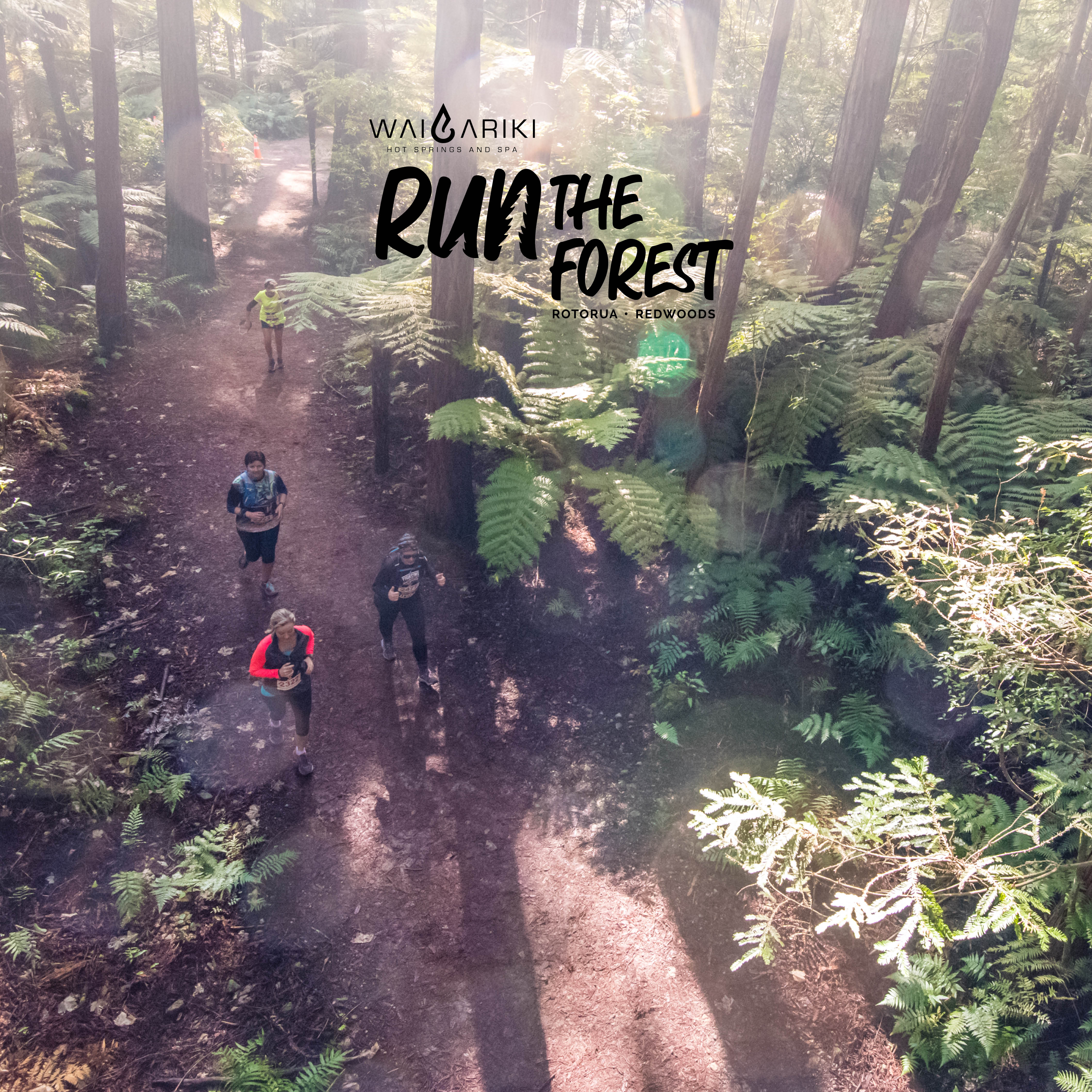 Run the Forest