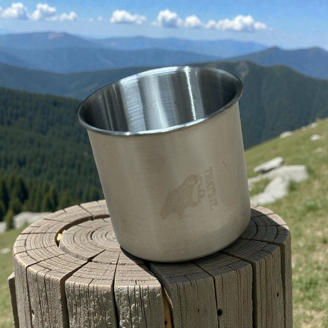 Camping Mugs