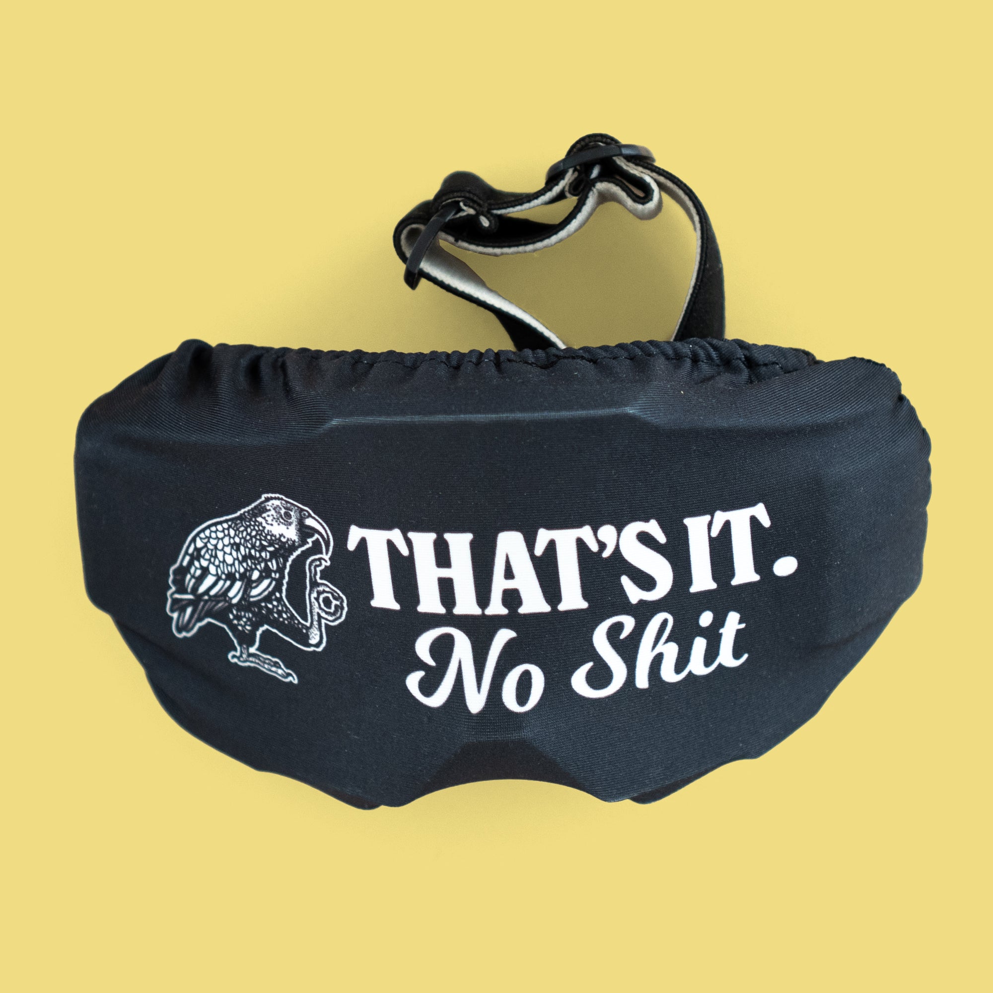 Ski Goggle Protector