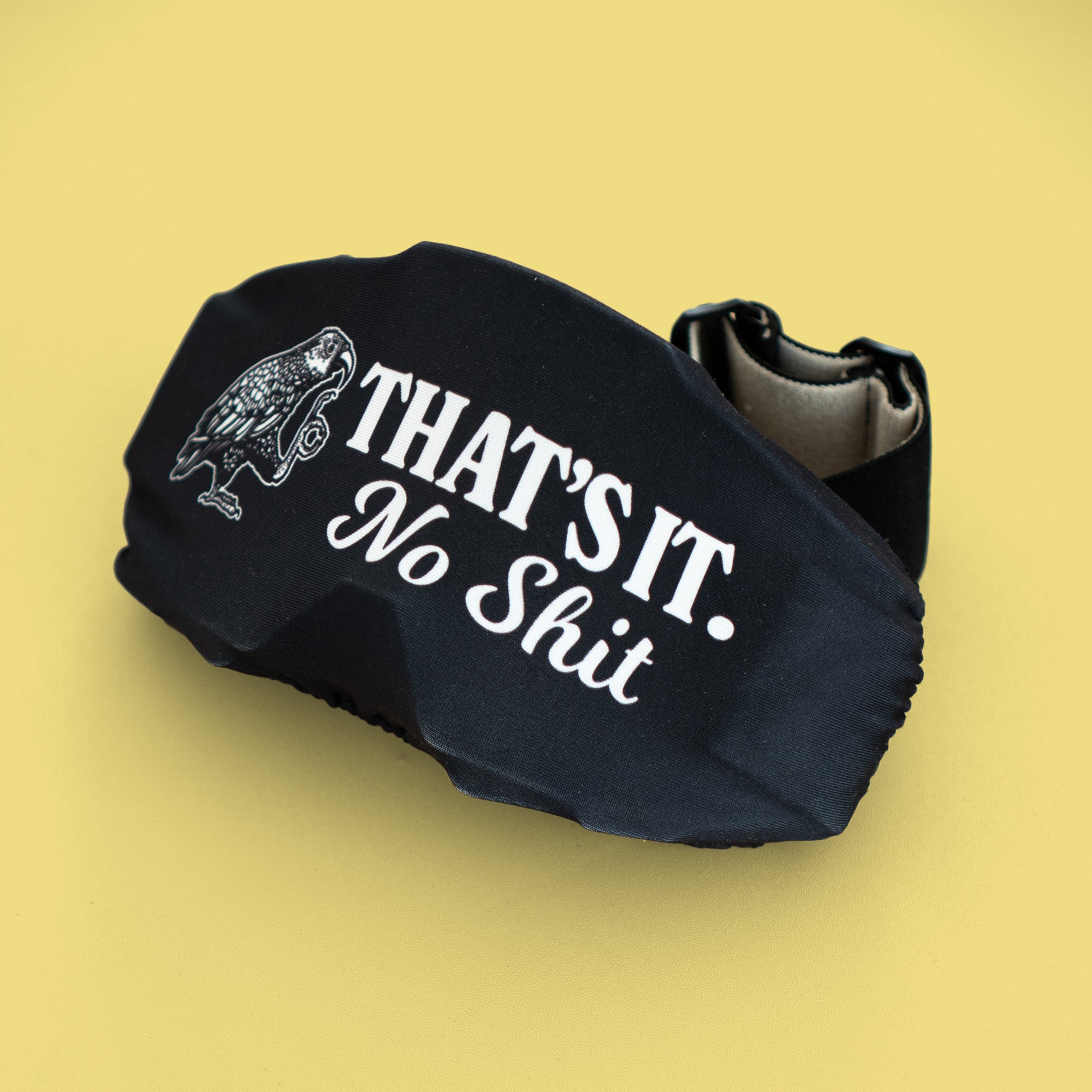 Ski Goggle Protector