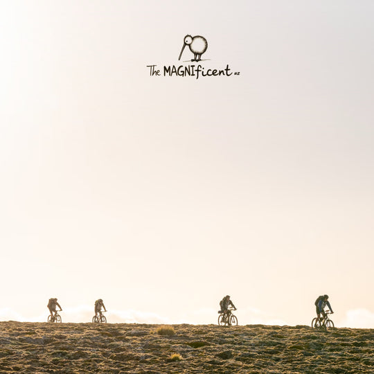 The MAGNIficent